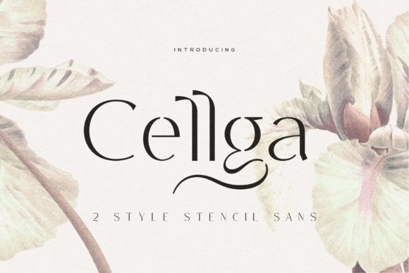 Cellga: A Modern Sans Serif Font for Web Design