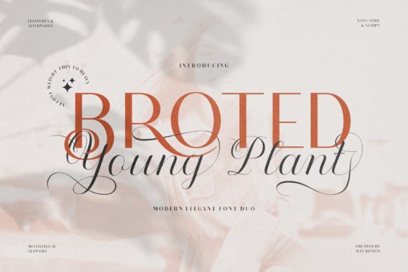 Designing a Fresh Brand Identity with Broted Young Plant