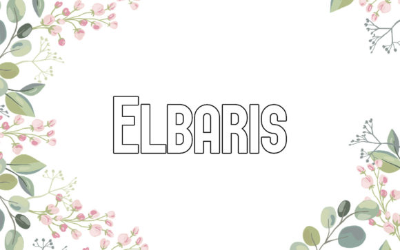 Elbaris Font Review: Polishing Small Business Branding