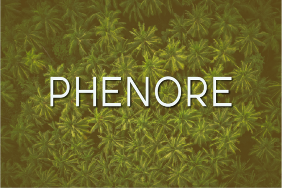Phenore: A Minimal Sans Serif Typeface for Modern Editorial Design