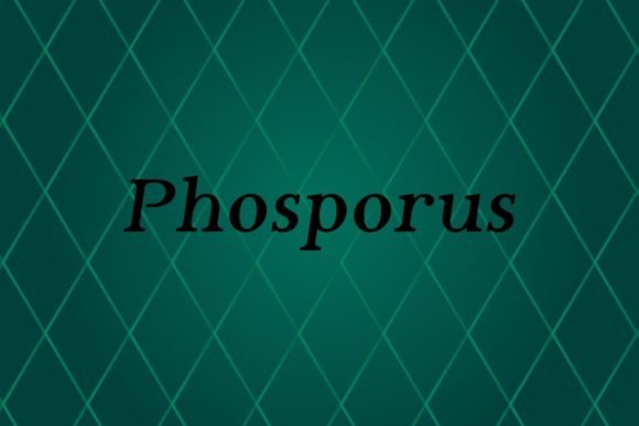 Phosporus Font Review: A Versatile Sans Serif for Branding