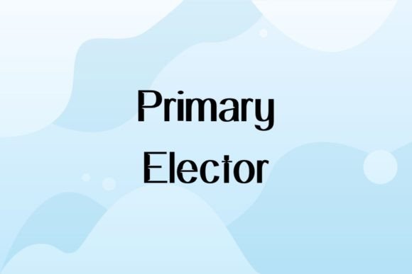 Primary Elector: A Classic Sans Serif Font for Small Business Branding