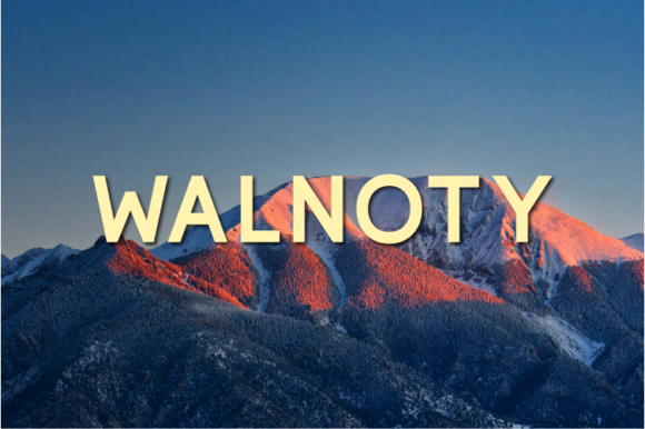 Walnoty: The Minimal Sans Serif Font for Scroll-Stopping Ads